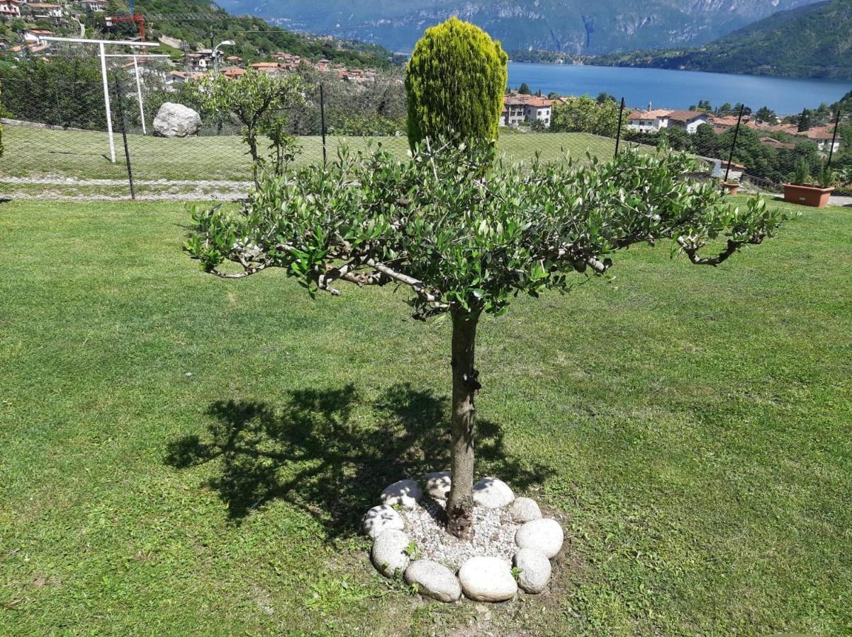 B&B Garzola Ossuccio Exterior photo