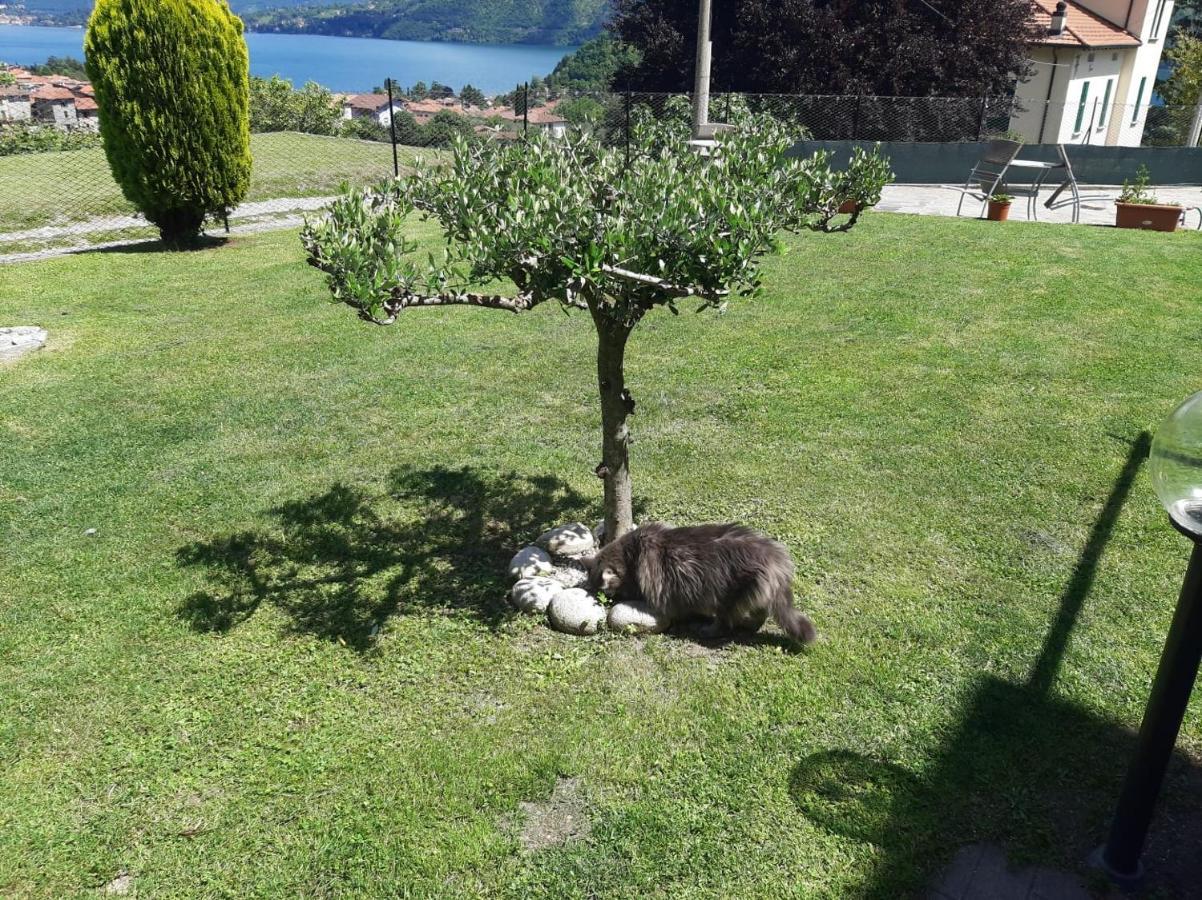 B&B Garzola Ossuccio Exterior photo